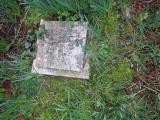 image of grave number 814322